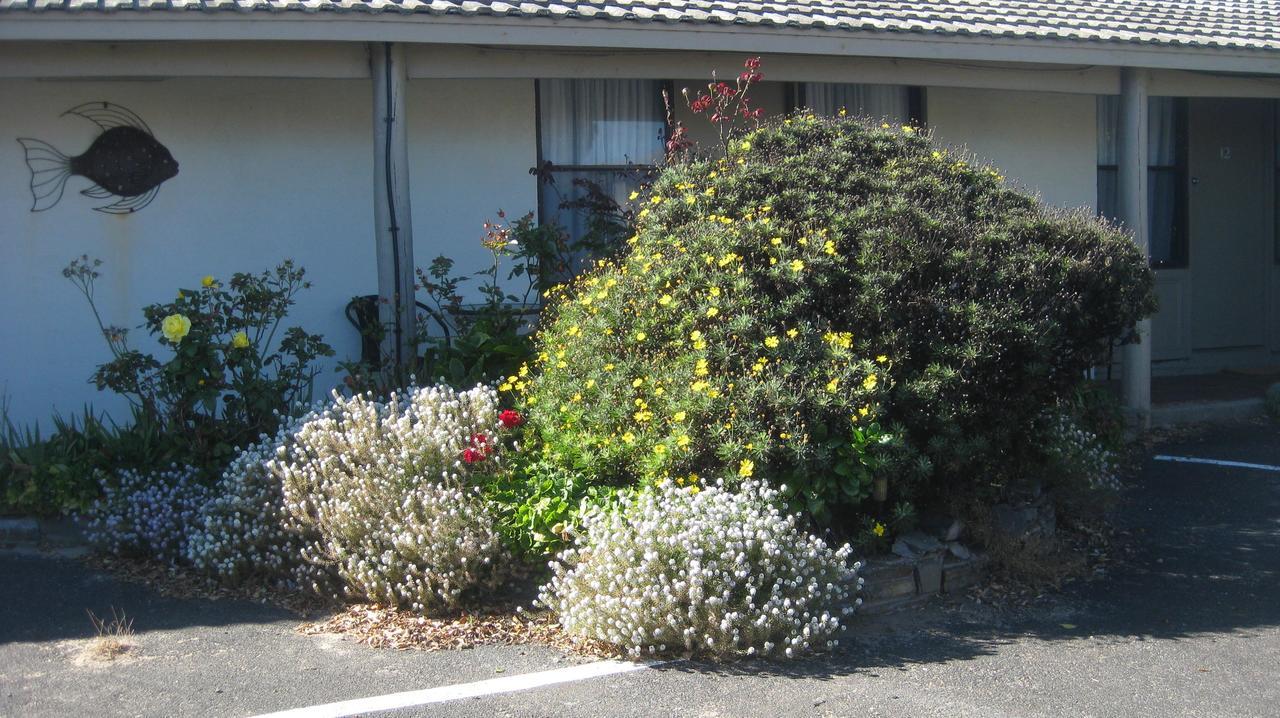 Robe Haven Motel Luaran gambar